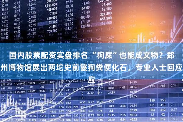 国内股票配资实盘排名 “狗屎”也能成文物？郑州博物馆展出两坨史前鬣狗粪便化石，专业人士回应