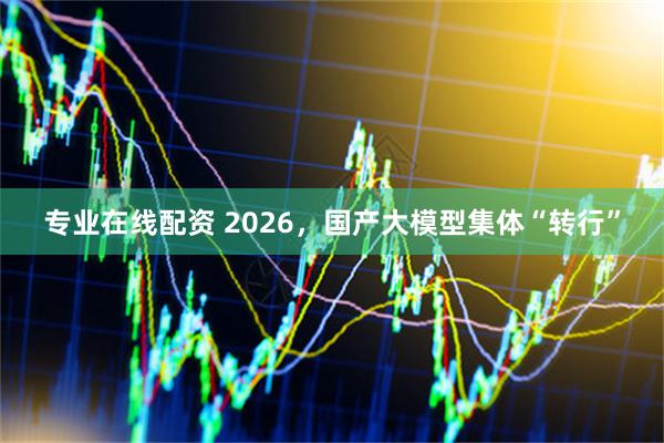 专业在线配资 2026，国产大模型集体“转行”